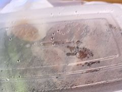 -小四喜冰室(宝体店)