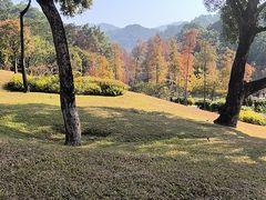 -云溪植物园