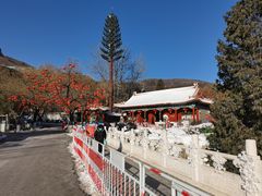 -八大处公园