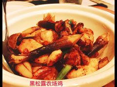 -T館·花园艺术餐厅