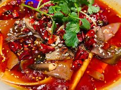 -映水芙蓉(上海万象城店)