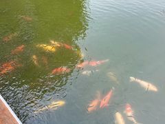 -八卦田遗址公园