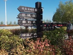 -呼兰河口湿地公园