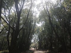 -虞山风景区
