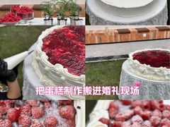 -满天星花园