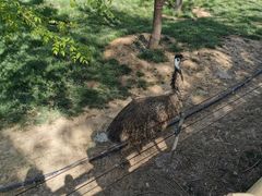 -石家庄市动物园