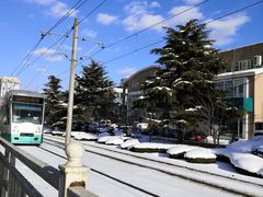 -盛江山自助料理(奥莱锦辉购物广场店)