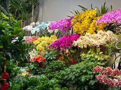 -吴山花鸟城-停车场