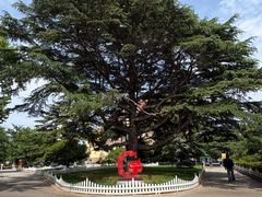 -青岛德国总督楼旧址博物馆