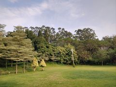 -厦门悦华酒店