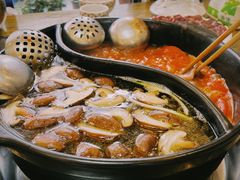 -乳仔牛牦牛汤锅 烤羊排(松潘古城店)