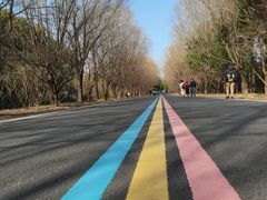 -同里国家湿地公园