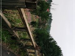 -白鹭湾湿地公园