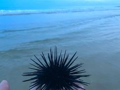 -清水湾旅游度假区