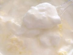 -德禄酸奶(莫家街店)