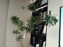 -颜蕾医美·黄金微针·水光·玻尿酸·超声炮·抗衰中心