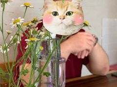 餐具摆设-RAC BAR(安福路店)