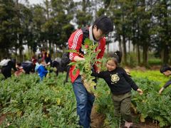 -前小桔亲子创意农场·草莓采摘·露营烧烤