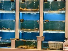 -赶海部落海鲜城(海阳路店)