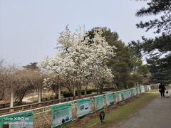 -国家植物园南园