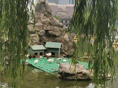 -团结湖公园