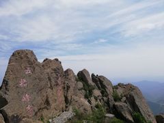 -白草畔自然风景区