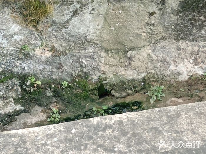 岳麓山风景名胜区图片