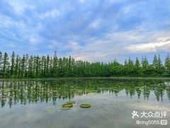 -上海长兴岛郊野公园