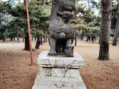 -北陵公园