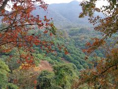 -广州市石门国家森林公园