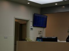 -上海市东方医院(总院)