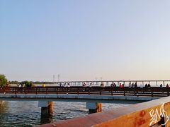 -宝安西湾红树林湿地公园