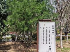 -莲湖公园