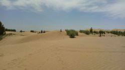 -苏菲亚婚纱影楼尊爵店(昆区店)