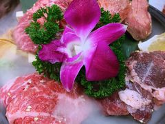 -大阪烧肉BAKA一代(十亩地店)