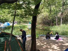 -白水寺森林公园