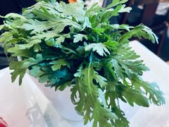 茼蒿-东来顺饭庄(天坛店)