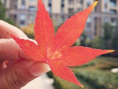 -长发西饼(道前店)