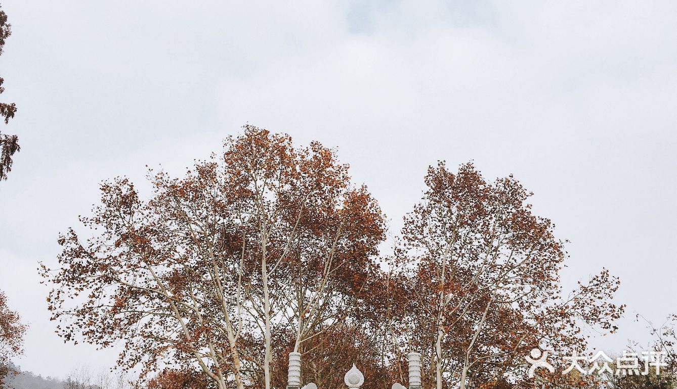 秋日南京不可错过的风景|栖霞山名胜风景区打卡攻略