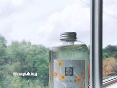 -奈雪的茶(深圳北站店)