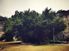 -金鸡山公园