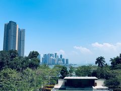 -希尔顿南海酒店·观廊大堂吧·海景下午茶