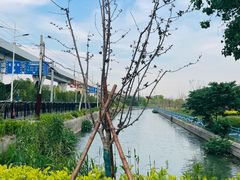 -美兰湖景区