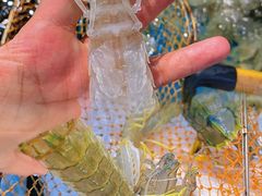 -四川小胡子海鲜(丁村万人海鲜广场店)