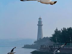 -悦海公园