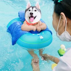-四季宝贝婴幼儿水育成长中心(陆家嘴店)