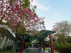 -文华公园(禅城区)