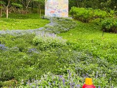 -云溪植物园