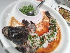 鲜花椒淋老虎斑-老船夫婚宴婚庆会馆(延吉路店)