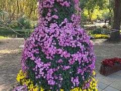 -上海共青森林公园